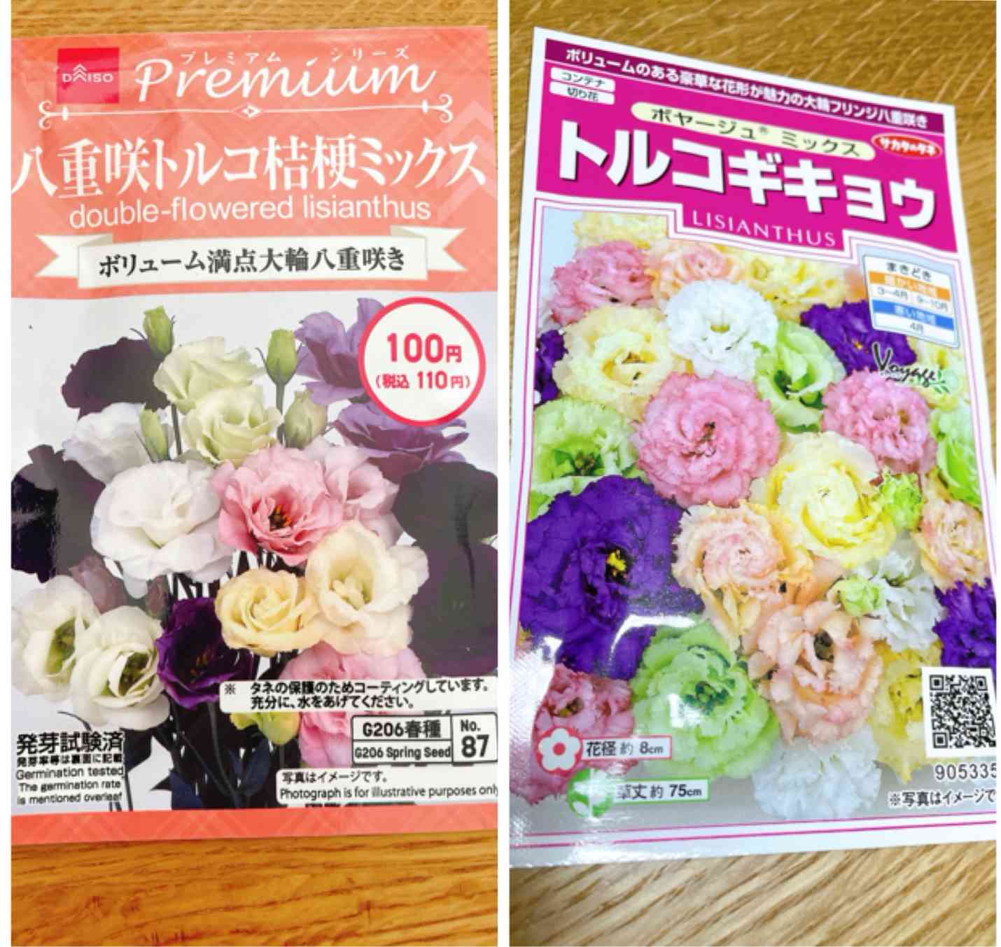 トルコギキョウ》ダイソーとボヤージュを種から育てる記録