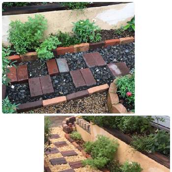 手作り花壇の投稿画像一覧 Greensnap グリーンスナップ