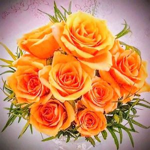 バラ、薔薇、ばら,切り花,フラワーアレンジメント,花束,元気！の画像