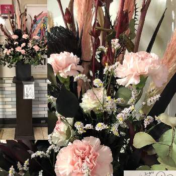 駅構内のお花シリーズの画像 by hirarinさん | ハイブリッド スターチスとユーカリポポラスとパンパスグラスとキングプロテアとカーネーションと医療・介護の皆様に感謝と１９日はピンクの日とコロナウイルスの終息を願う！とコロナに負けるな！と駅構内のお花シリーズとピンクワールドへ ようこそとGS皆様ありがとうとoriの自由なピンクの日と㊗️hirarinさん700picとチーム・ブルーとチーム・ブルーNo.116