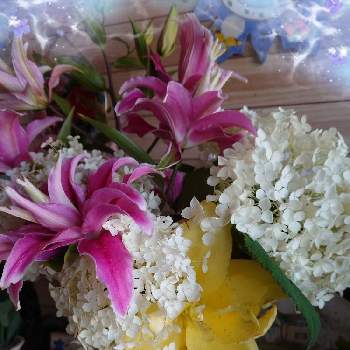✿ピンク可愛い〜✿の画像 by みゆさん | 玄関と好き✿と✿ピンク大好き✿と✿ピンク可愛い〜✿とオリエンタルリリー✿と可愛い✿と❤️M.family❤️とありがとうと花いろいろと花のある暮らしと紫陽花✿