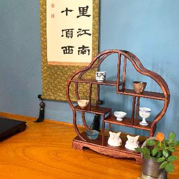 床の間の投稿画像一覧 Greensnap グリーンスナップ