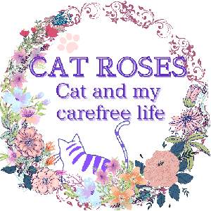 CAT ROSES