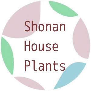 Shonan House Plants
