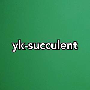 yk-succulent