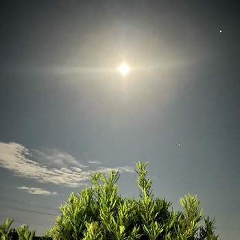 夜の空の投稿画像一覧 Greensnap グリーンスナップ