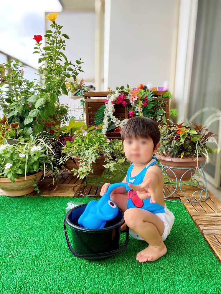 ハイビスカスの投稿画像 By ちゃみりーさん バルコニー ベランダと100均雑貨と100均 と人工芝と寄せ植えとベランダガーデニングとおうち園芸とセリアと季節のお花と造花と造花 アレンジとフラワーアレンジメントとマンションのベランダと花のある暮らしと100均造花と