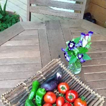 畑の恵みの画像 by ポピーさん | テラスと食べられる実と可愛い実と家庭菜園と畑の恵みと無農薬野菜とおうち園芸と収穫