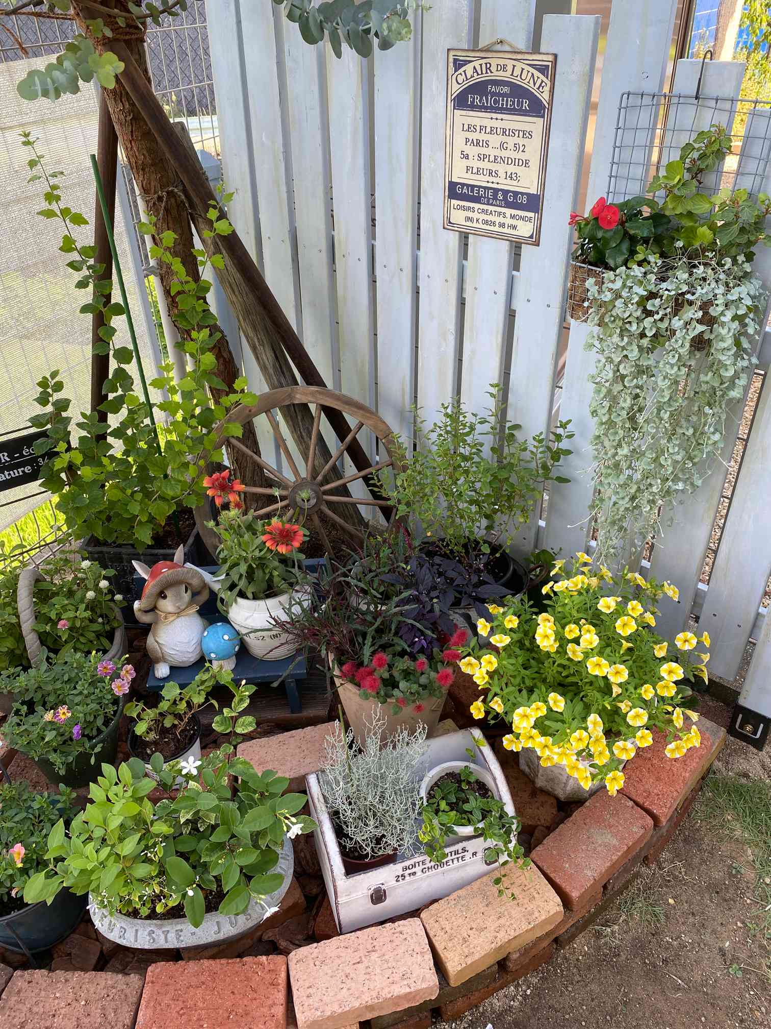 小さな畑、花壇など作りませんか！DIYで楽しい菜園楽しい植木 - 食品