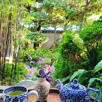 おうちカフェの画像 by ロザリーさん | 和室とピラミッドアジサイと黒竹と和風と日本の伝統と切り花を楽しむと クレマチスと和の庭とおうちカフェと花のある暮らしとグリーン