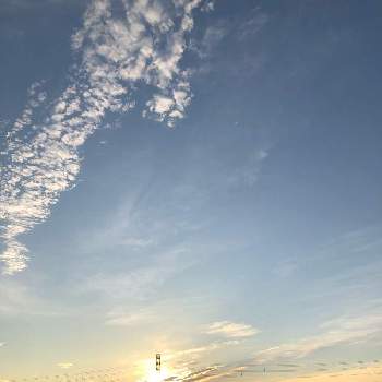 広瀬川堤の画像 by おんたけやまさん | お出かけ先と朝日と写真撮影とウォーキングと広瀬川堤