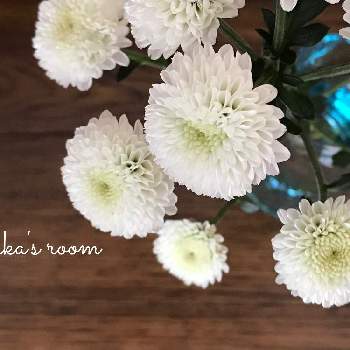 花瓶合わせの画像 by kukkaさん | 部屋とコギクとスーパーマーケットの花と癒しと切り花を楽しむと花を飾ると穏やかな心と白いお花とナチュラルスタイルと花のある暮らしと花瓶合わせと涼やかと切り花