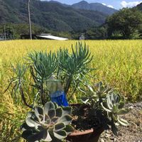 美空の鉾,南予の四季,風景シリーズ,風景シリーズ,愛媛県の画像