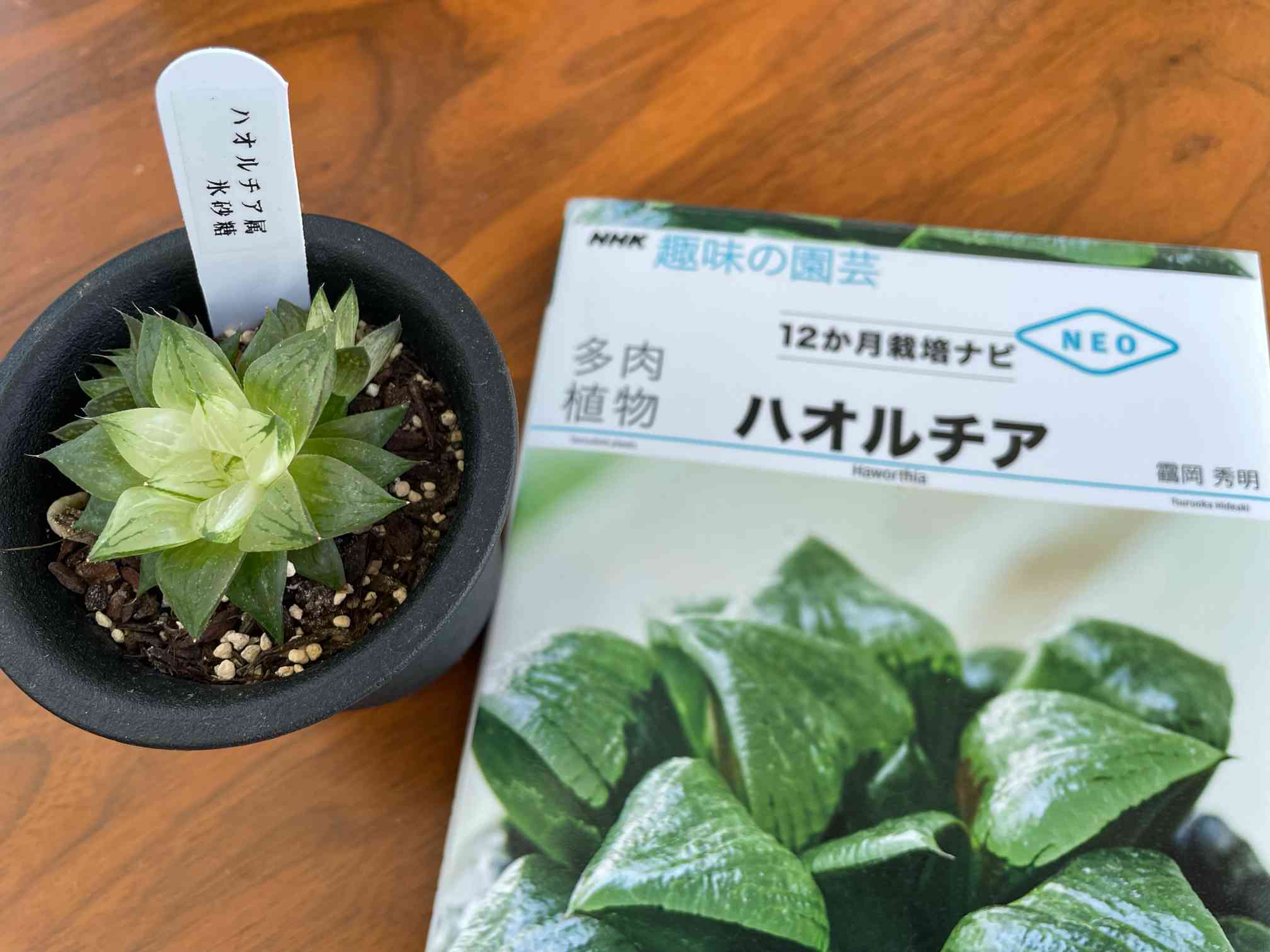 1630405535394_71120_photo.jpg?