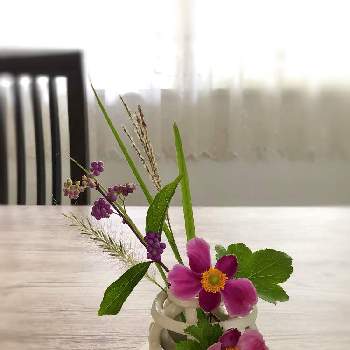 庭の花を飾るの投稿画像一覧 Greensnap グリーンスナップ