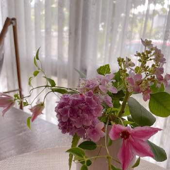 庭の花を飾るの投稿画像一覧 Greensnap グリーンスナップ