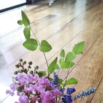ブルーセージの画像 by うばざくらさん | 玄関とランタナの葉とさるすぺりとブルーセージとおうち園芸とはなのある暮らしとピンク色の花とブルーの花と切り花と切り戻し