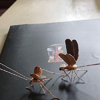 竹細工の画像 by かどちんさん | 竹細工と虫・昆虫