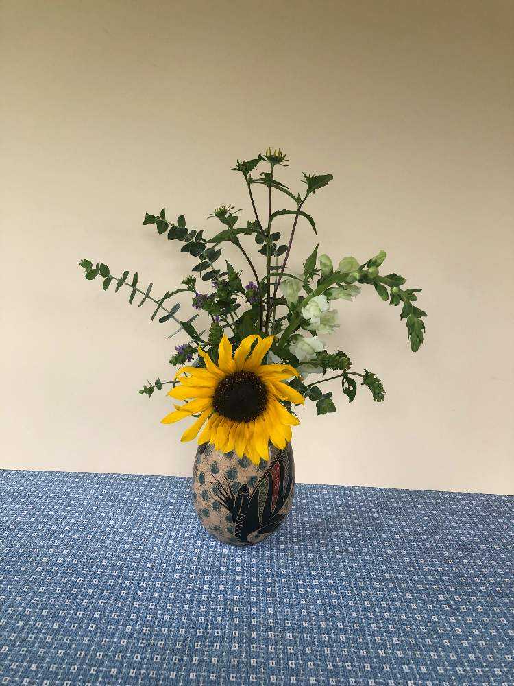 生徒さんの作品集4 秋の花 Greensnap グリーンスナップ