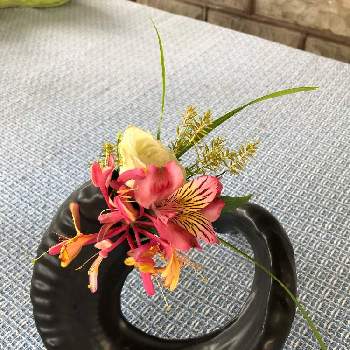 スプレーローズ♡︎ʾʾの画像 by sasukemama(Tomoko Henty）さん | フレッシュフラワーアレンジメントとスプレーローズ♡︎ʾʾとユニークな花器と生け花のある暮らしとクリムゾンハニーサックルとカヤツリグサ 科と緑のある暮らしと花のある暮らしとアメリカ在住とアルストロメリア～と生け花とスイカズラ科