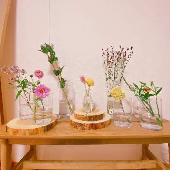 花の飾り方の画像 by niki 可愛いお花屋さんが好きさん | リンドウとフジバカマとワレモコウとコスモスとケイトウとカーネーションとクルクマと花の飾り方とガラスの花瓶とお花のある生活と花は癒やし♡と切り花