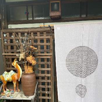 蓮花の投稿画像一覧｜🍀GreenSnap（グリーンスナップ）