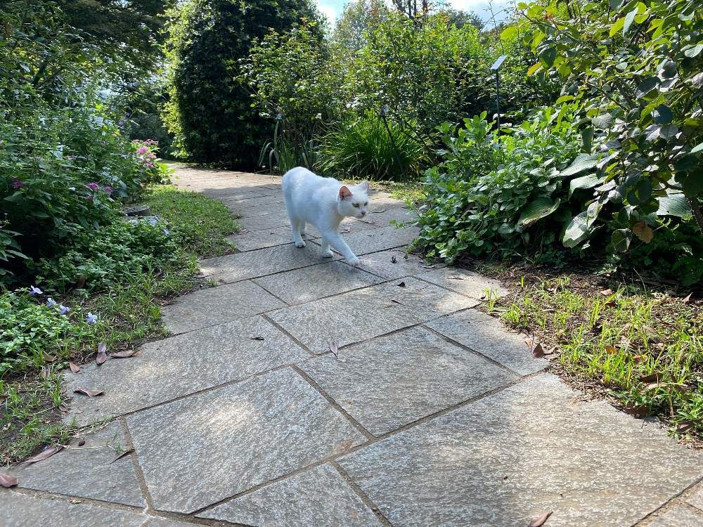 ピノ太郎さんの港の見える丘公園へのレポート