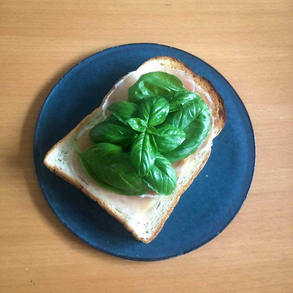 バジル21 Greensnap グリーンスナップ