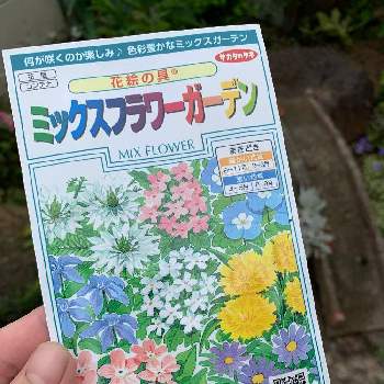 サカタのタネ ミックスフラワーガーデンの投稿画像一覧 Greensnap グリーンスナップ