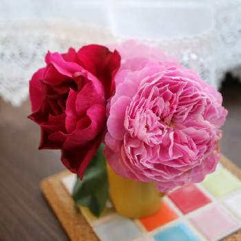 フォーユアホームの画像 by ミルキーさん | 窓辺とフォーユアホームとオデュッセイアと咲いた！と花のある暮らしと薔薇愛同盟と毎年咲いてくれてありがとうと月曜日にはバラを