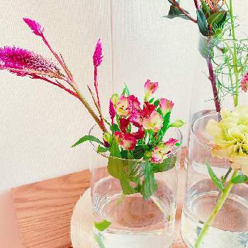 花の飾り方の画像 by niki 可愛いお花屋さんが好きさん | 花の飾り方と枝ものとガラスの花瓶とお花のある生活と花は癒やし♡と切り花
