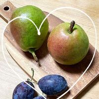プルーンの育て方 栽培 苗木の植え付け 剪定 収穫の時期や方法は Greensnap グリーンスナップ