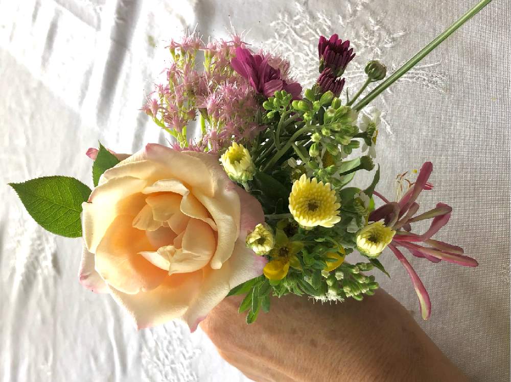 バラと小さな花瓶で生けるバリエーション Greensnap グリーンスナップ