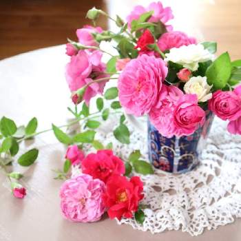 フォーユアホームの画像 by ミルキーさん | 部屋とフォーユアホームとバラ レッドレオナルド・ダ・ヴィンチと薔薇愛同盟と花のある暮らしと毎年咲いてくれてありがとうとレース編みと咲いた！