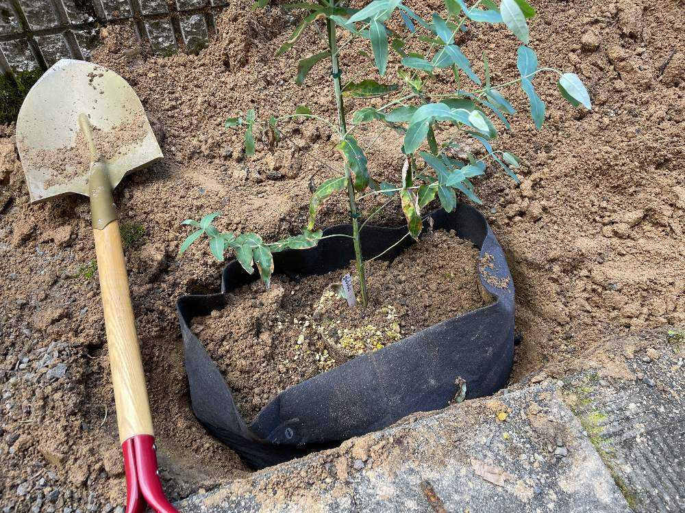 1632042752983_thum_519074_phot