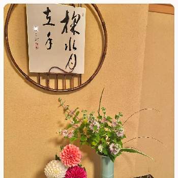 段菊の画像 by makidonさん | ダリアと段菊と２０２０年５月同期と世羅高原農場と花のある暮らしと生け花と中秋の名月