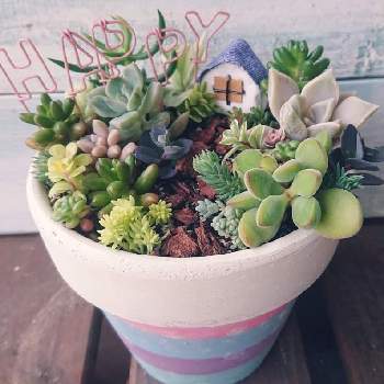 手作りガーデンピックの投稿画像一覧 Greensnap グリーンスナップ 手作りガーデンピックの投稿画像一覧 Greensnap グリーンスナップ