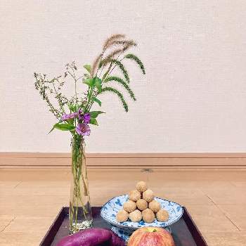 十五夜の画像 by ひかりさん | 野草と果物と秋冬野菜と十五夜と中秋の名月
