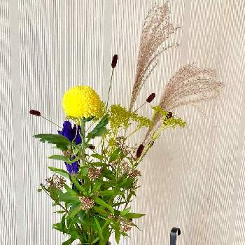 オミナエシ(女郎花)の画像 by みゃんさん | リンドウとフジバカマ（藤袴）とオミナエシ(女郎花)とワレモコウとススキ（尾花）とピンポンマムと渋いと季節の花と黄色い花と生けてみましたと十五夜と紫の花と秋の花