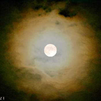 つきの画像 by Levo327さん | 小さな庭と中秋の名月とつきと満月♪とCanon EOS 80D