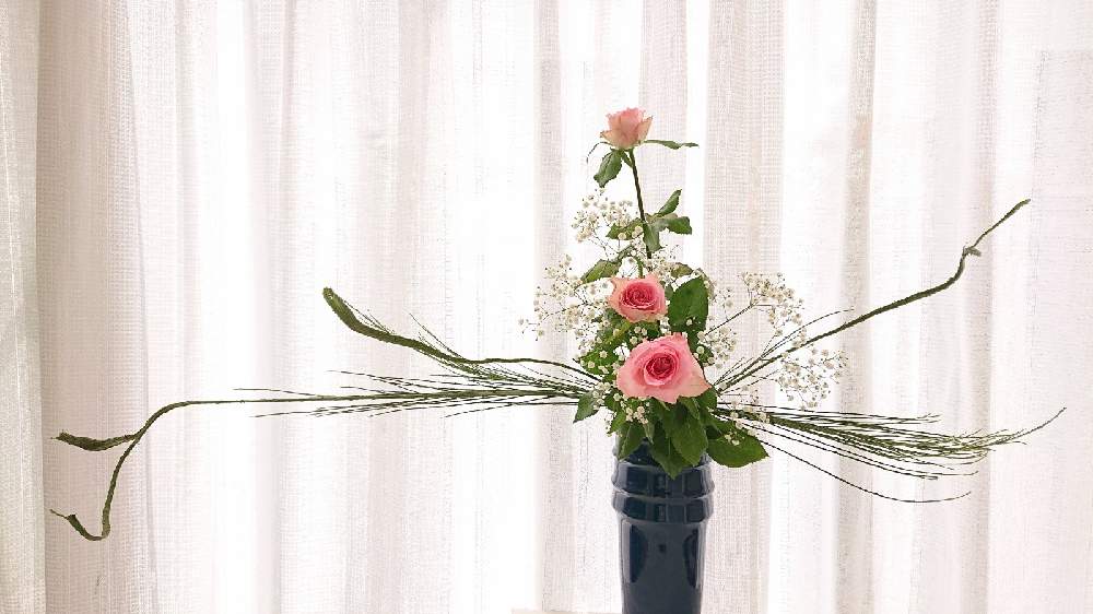 バラの投稿画像 By きこちゃんさん 石化エニシダとカスミソウといけばなと花のある暮らしとエールと感謝 21月9月22日 Greensnap グリーンスナップ バラの投稿画像 By きこちゃんさん 石化エニシダとカスミソウといけばなと花のある暮らしとエールと感謝 21月9月22日 Greensnap グリーンスナップ