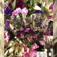 カーネーション,トルコキキョウ,リンドウ,紫色の花,今日のお花の画像