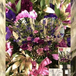 カーネーション,トルコキキョウ,リンドウ,紫色の花,今日のお花の画像