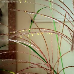 *和室,*ススキ,*秋の七草,和室の画像