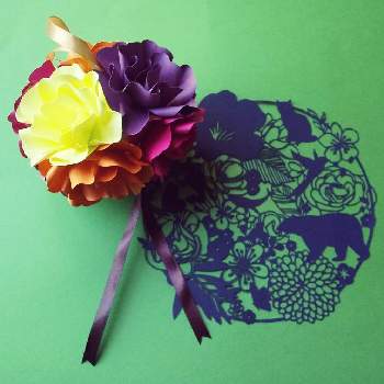 ペーパーフラワーの花の投稿画像一覧 Greensnap グリーンスナップ