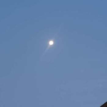 早朝の空の画像 by ムニさん | バルコニー/ベランダと朝のお月さまとお月さまと早朝の空とベランダからの景色とおつきさまと早朝撮影と寒い朝とどんどんふえちゃってますと多肉初心者と寒い
