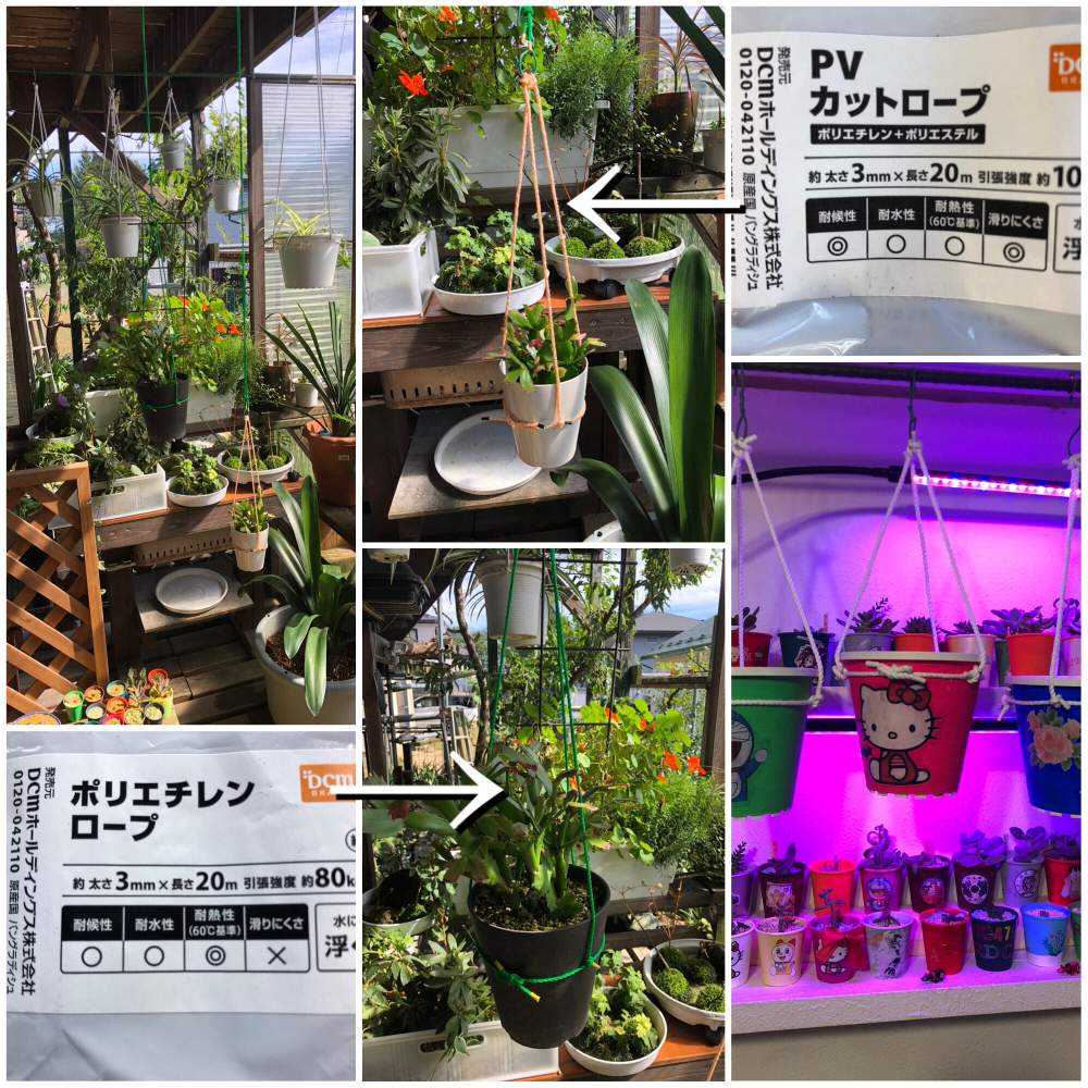 簡単自作鉢植えの吊り下げ。｜🍀GreenSnap（グリーンスナップ）