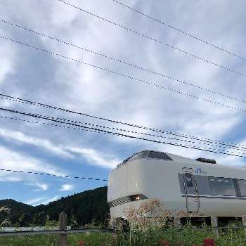 ススキ♡の画像 by グリーンスムージーさん | いつもの散歩道とススキ♡と電車がある風景と雲仲間と曼珠沙華と秋風の中で