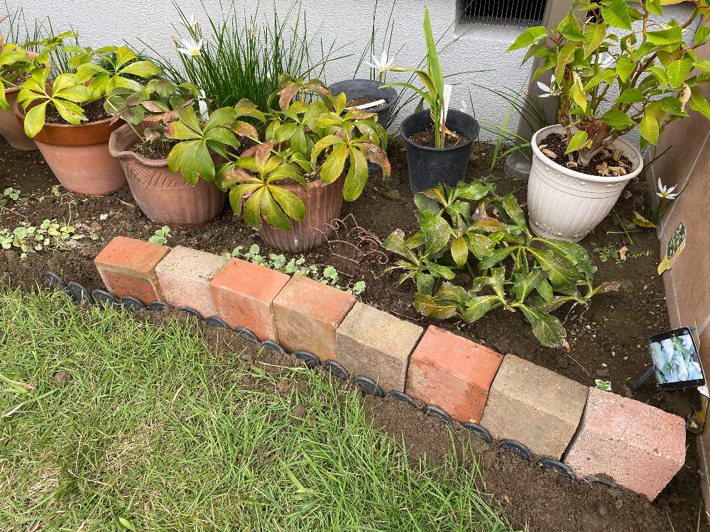 鉢植え花壇をプチリフォーム Greensnap グリーンスナップ