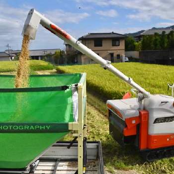 稲刈りの画像 by KIKOさん | 畑とコンバインと実りの秋と稲刈りと稲穂の実りとお米